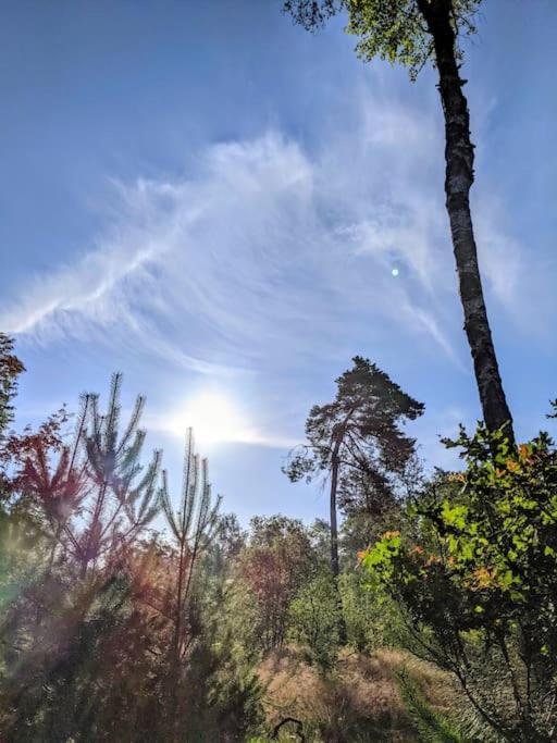 Sfeervol Chaletje In Een Rustige Bosrijke Omgeving Diessen Exterior photo