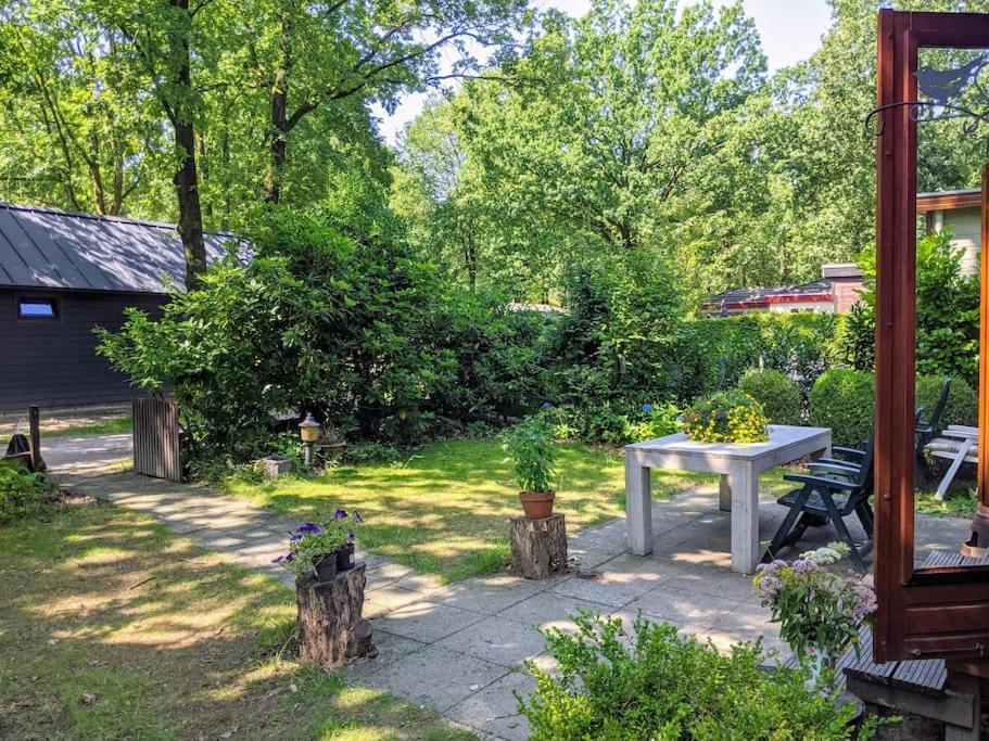 Sfeervol Chaletje In Een Rustige Bosrijke Omgeving Diessen Exterior photo